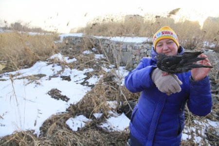 В гранит оденется Тобол...