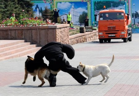 Войска на площади (Фото)