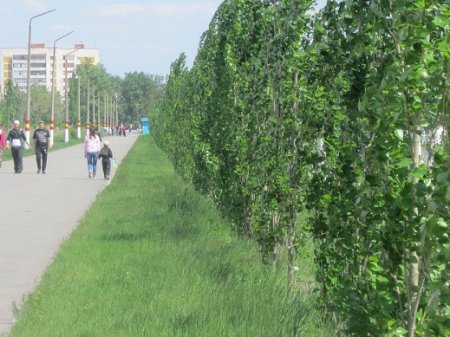 Здравствуй, пятница! Мы - дети твои!