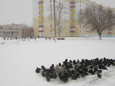 Культурная афиша февраля