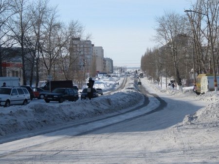 В ближайшие 300 дней и итог опроса