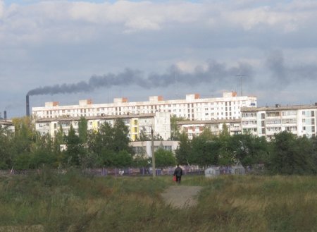 Принимаем новый урожай, благоустраиваем старое