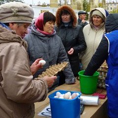 На очередной ярмарке ожидается снижение цены на яйца