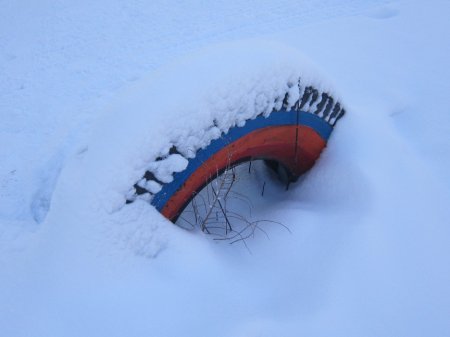 Молодняк опасней взрослых