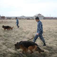 Пресс-служба ДВД прокомментировала новый этап следствия по делу об убийстве Виктории Гани