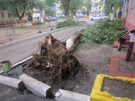 Грозовая напасть