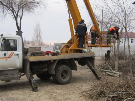 Зима против тополиного пуха