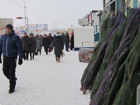 Предновогодние хлопоты