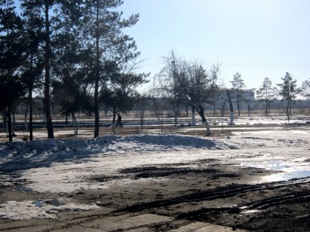 В Рудном снежный покров уменьшился вдвое за неделю