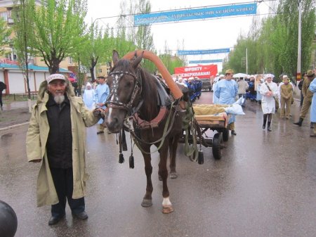 Окно в Победу!