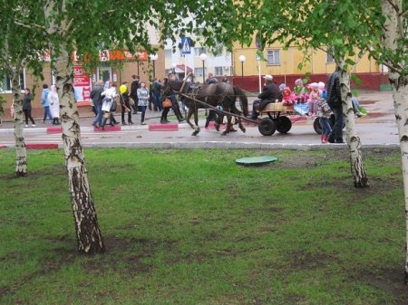 Окно в Победу!