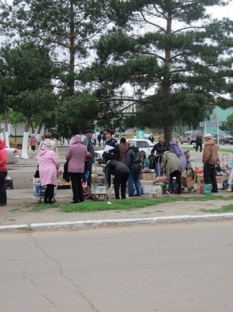 Газон под колесами