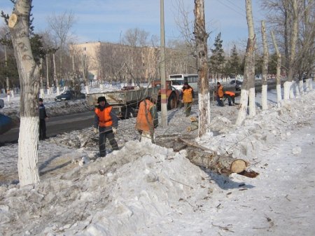 Пуха станет меньше