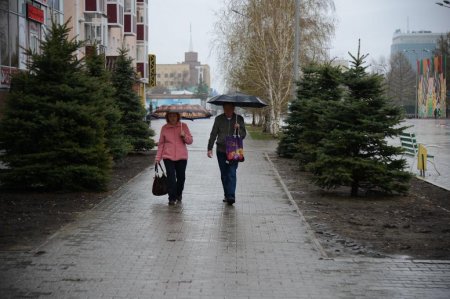 В ближайшее время в области ожидается дождливая, но теплая погода