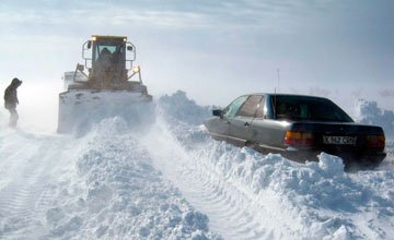 В Амангельдинском районе Костанайской области найдено тело пропавшего под Новый год пастуха