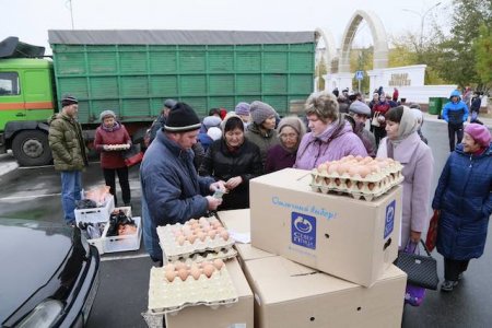 Первая сельскохозяйственная ярмарка в этом сезоне прошла в Костанае