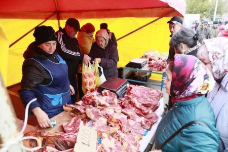 Первая сельскохозяйственная ярмарка в этом сезоне прошла в Костанае