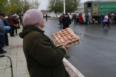 Первая сельскохозяйственная ярмарка в этом сезоне прошла в Костанае