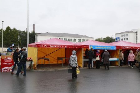 Первая сельскохозяйственная ярмарка в этом сезоне прошла в Костанае