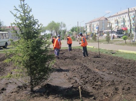 Город в цветах