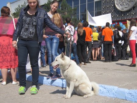 Полное отставание