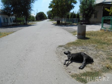 Как выглядит Арысь спустя сутки после взрывов